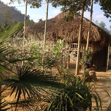 Sa House Bac Ha Apartment Exterior photo
