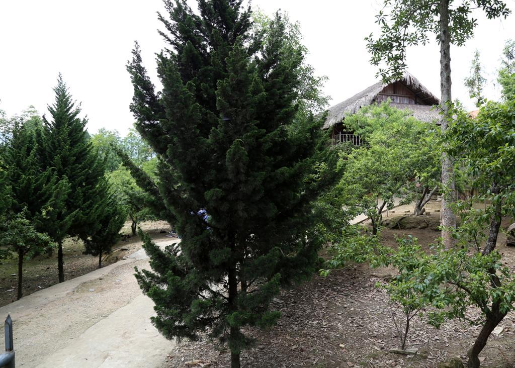 Sa House Bac Ha Apartment Exterior photo