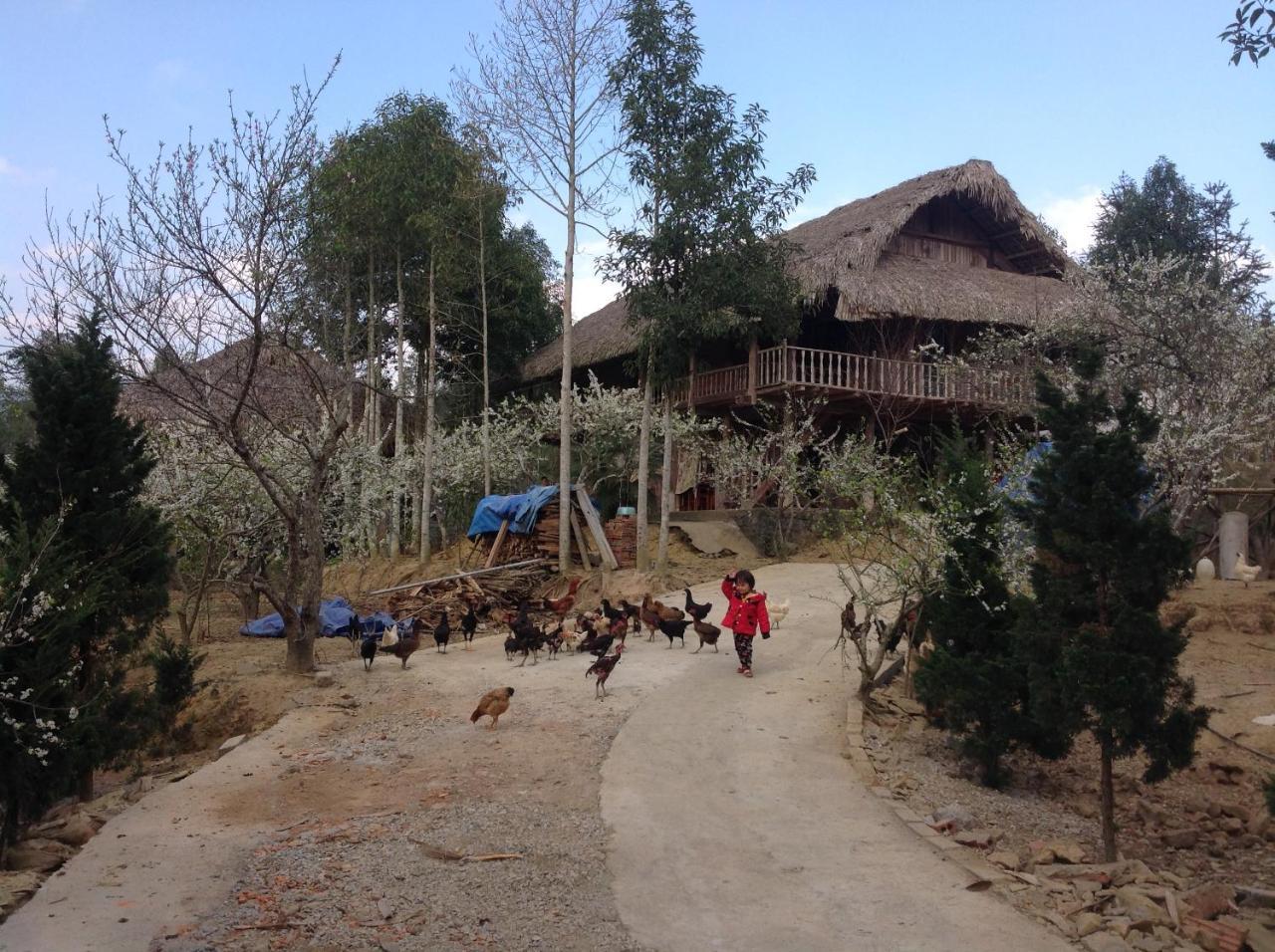 Sa House Bac Ha Apartment Exterior photo